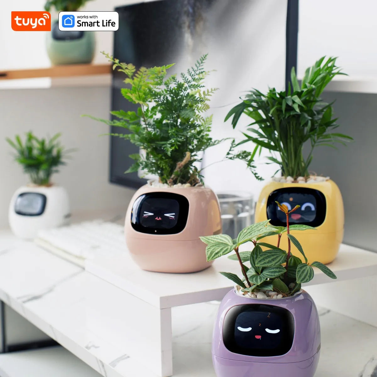 Tuya Ivy Smart Planter With AI