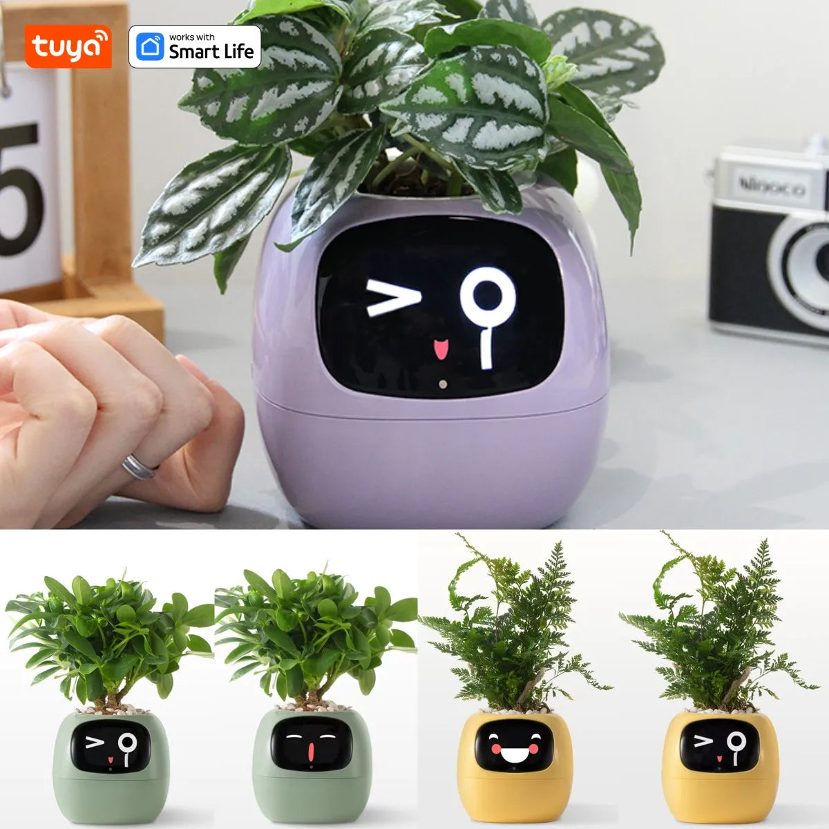 Tuya Ivy Smart Planter With AI